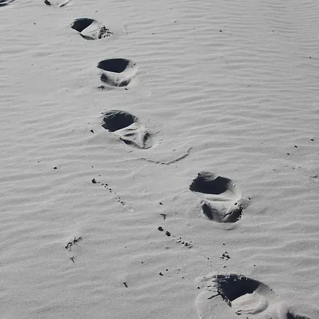 Concordia Hiddensee Villa Binz